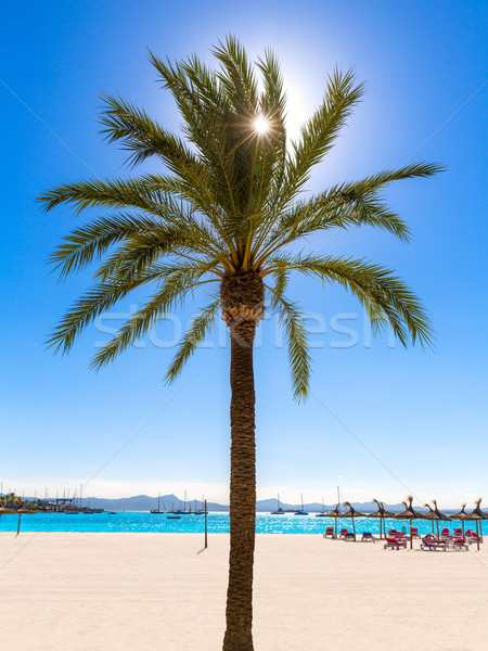 Platja de Alcudia beach in Mallorca Majorca Stock photo © lunamarina