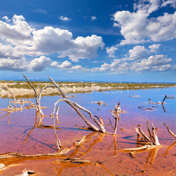 Mallorca Es Trenc Ses Salines saltworks in Balearic Stock photo © lunamarina