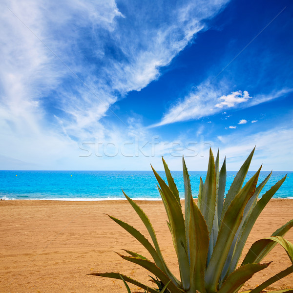 Almeria Mojacar beach Mediterranean sea Spain Stock photo © lunamarina