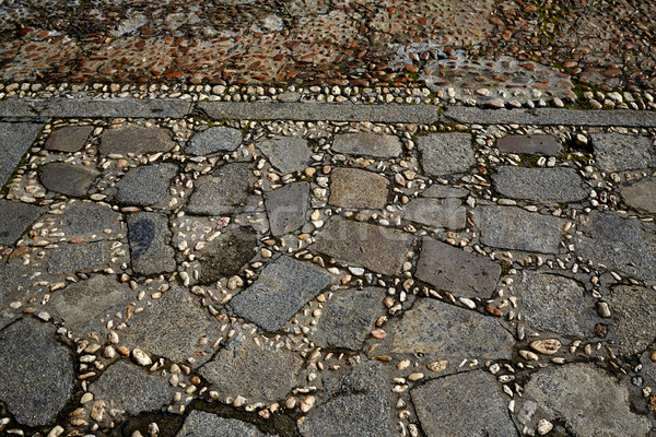 Salamanca in spain stones flooring detail Stock photo © lunamarina