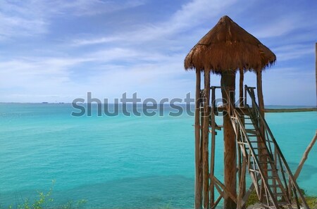 Caribbean zip line tyrolean turquoise sea Stock photo © lunamarina