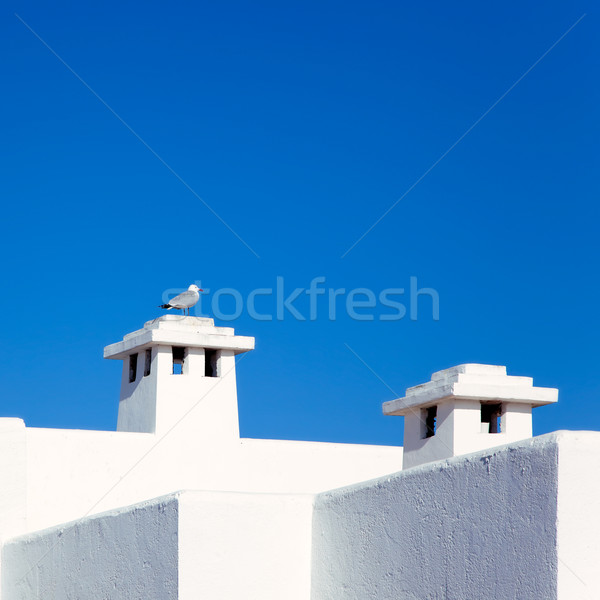 Balearic Mediterranean white houses with seagull Stock photo © lunamarina