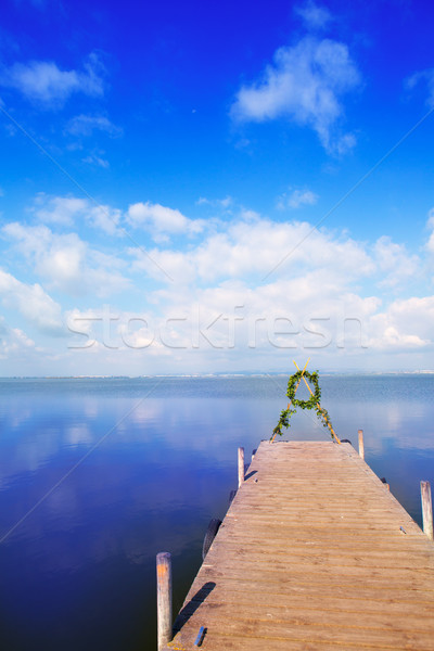 Meer Valencia blauwe hemel water hout natuur Stockfoto © lunamarina