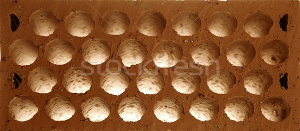 Brick macro detail. Clay round holes honeycomb shaped Stock photo © lunamarina