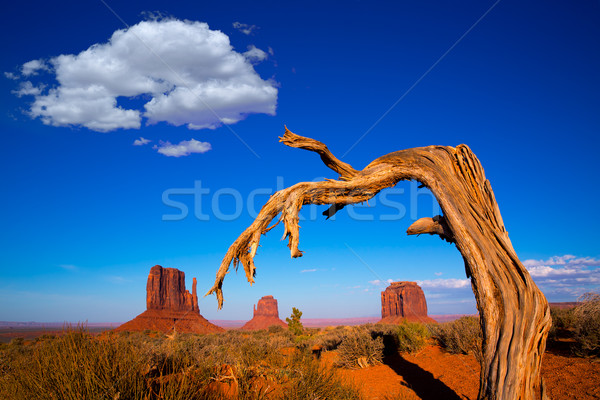 Monument Valley West and East Mittens and Merrick Butte Stock photo © lunamarina