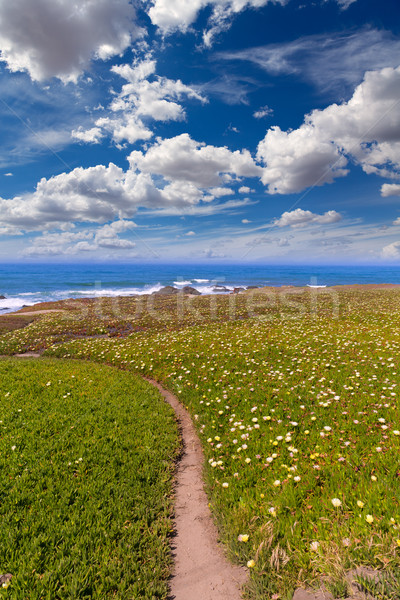 California Pigeon point beach in Cabrillo Hwy coastal hwy 1 Stock photo © lunamarina