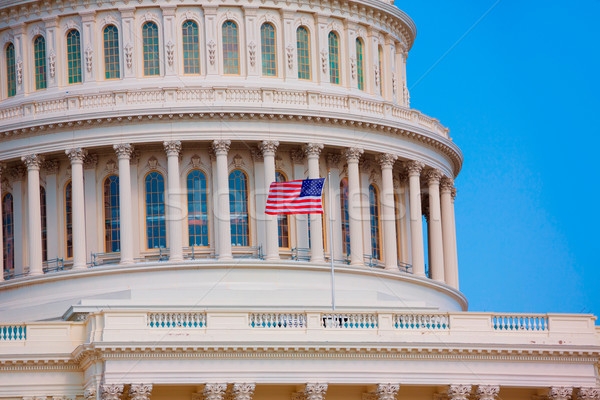 Gebouw Washington DC Amerikaanse vlag USA congres huis Stockfoto © lunamarina