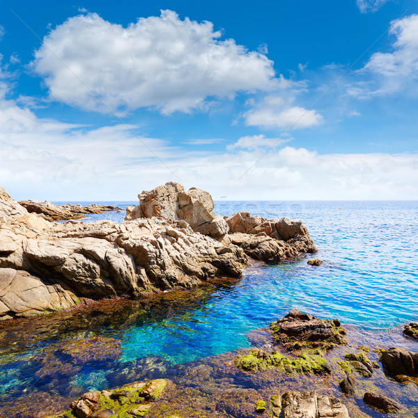 Costa Brava beach Lloret de Mar Catalonia Spain Stock photo © lunamarina