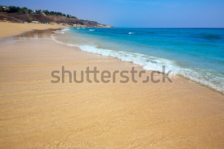 Butihondo Jandia beach Fuerteventura Canary Stock photo © lunamarina