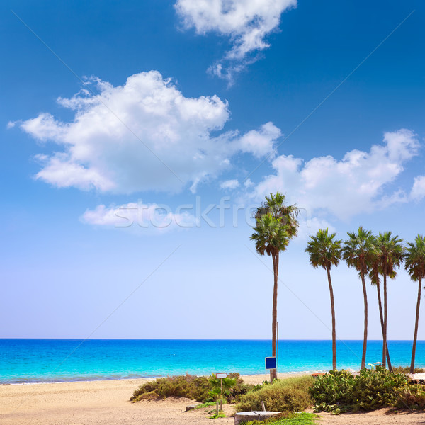  Costa Calma beach of Jandia Fuerteventura Stock photo © lunamarina
