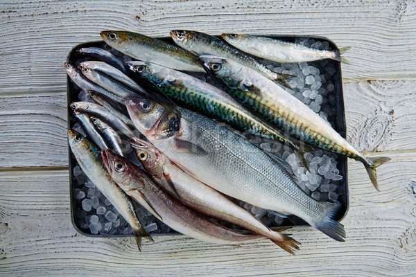 Fresh fish hake seabass sardine mackerel anchovies Stock photo © lunamarina