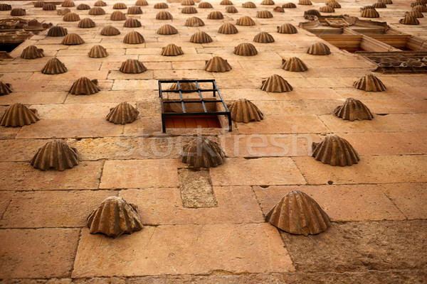 Casa de las Conchas shell house Salamanca Stock photo © lunamarina