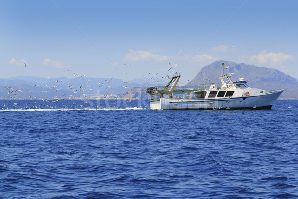 professional fisherboat many seagulls blue ocean Stock photo © lunamarina