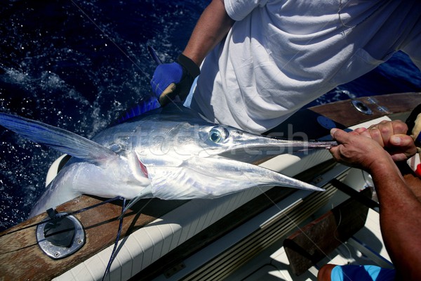 Billfish white Marlin catch and release on boat Stock photo © lunamarina