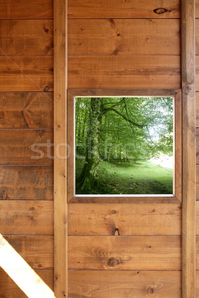 Stok fotoğraf: Ahşap · pencere · orman · yeşil · orman · görmek