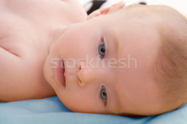 Bond little baby blue eyes lying relaxed Stock photo © lunamarina
