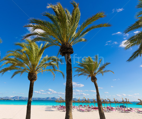 Mallorca Platja de Alcudia beach in Majorca  Stock photo © lunamarina