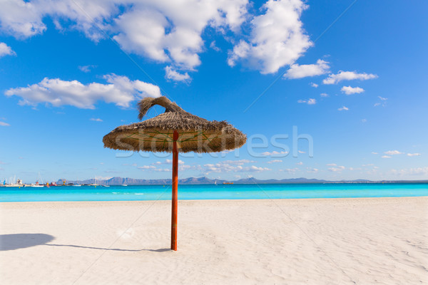海灘 景觀 海 海洋 藍色 商業照片 © lunamarina