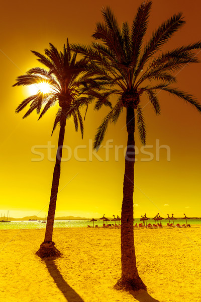 Platja de Alcudia beach in Mallorca Majorca Stock photo © lunamarina