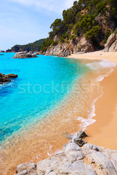 Stock photo: Cala Sa Boadella platja beach in Lloret de Mar