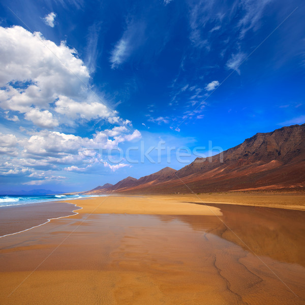 Cofete Fuerteventura beach at Canary Islands Stock photo © lunamarina