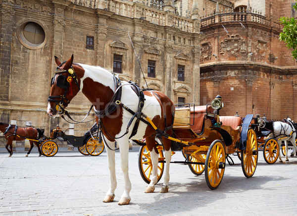 Seville horse carriages in Cathedral of Sevilla Stock photo © lunamarina