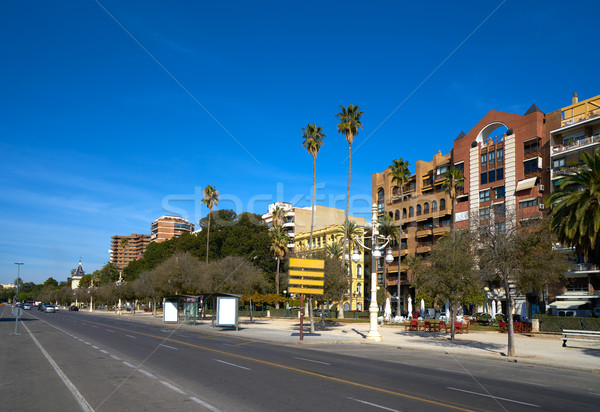 Stok fotoğraf: Valencia · mesire · İspanya · park · manzara · yaz