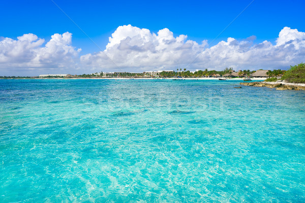 Akumal bay beach in Riviera Maya Stock photo © lunamarina