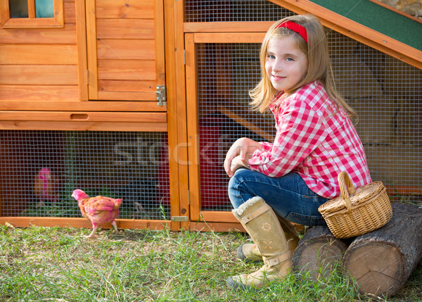 breeder hens kid girl rancher farmer with chicks in chicken coop Stock photo © lunamarina