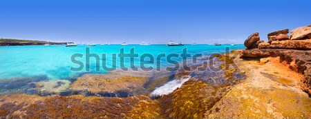 Es calo Escalo de san Agustin Beach in Formentera Stock photo © lunamarina