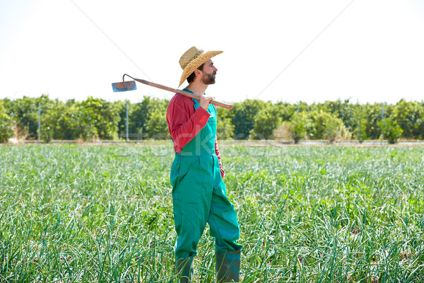 Gazda férfi kapa néz mező gyümölcsös Stock fotó © lunamarina