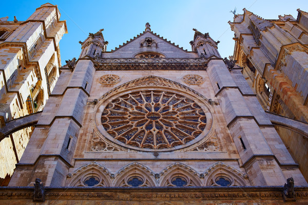 Cathedral of Leon gothic Rosette in Castilla Stock photo © lunamarina