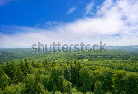 山 ドイツ ツリー 木材 森林 ストックフォト © lunamarina