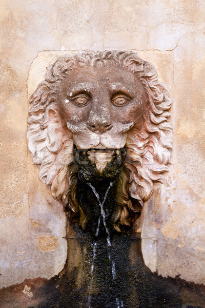 Lion stone sculpture fountain in Son Marroig at Deia Stock photo © lunamarina