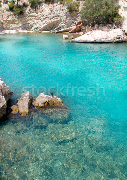 Foto stock: Turquesa · mediterráneo · aves · España · océano