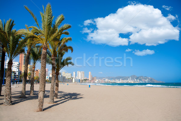 Benidorm Alicante beach palm trees and Mediterranean Stock photo © lunamarina