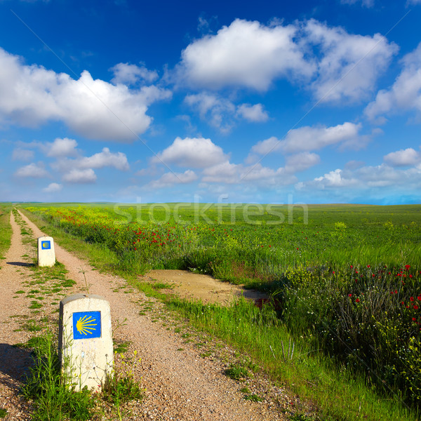 Way of saint James with shell sign fields Palencia Stock photo © lunamarina