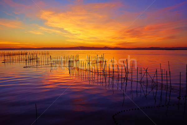 La Albufera lake sunset in El Saler of Valencia Stock photo © lunamarina