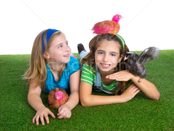 Stock photo: breeder hens kid sister farmer girls having fun with chicken chi