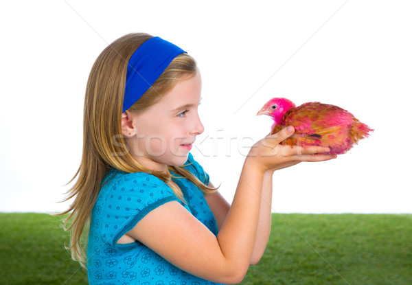 breeder hens kid girl rancher farmer with chicken chicks Stock photo © lunamarina