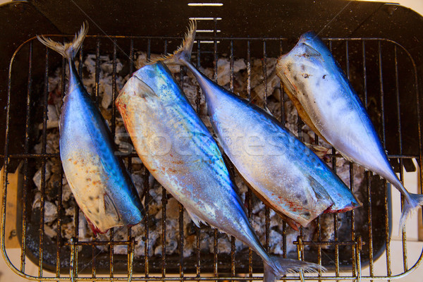 Tonhal hal barbecue kicsi étel háttér Stock fotó © lunamarina