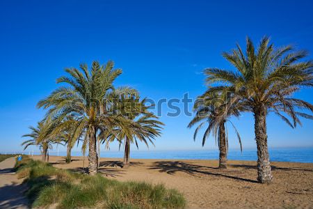  Costa Calma beach of Jandia Fuerteventura Stock photo © lunamarina
