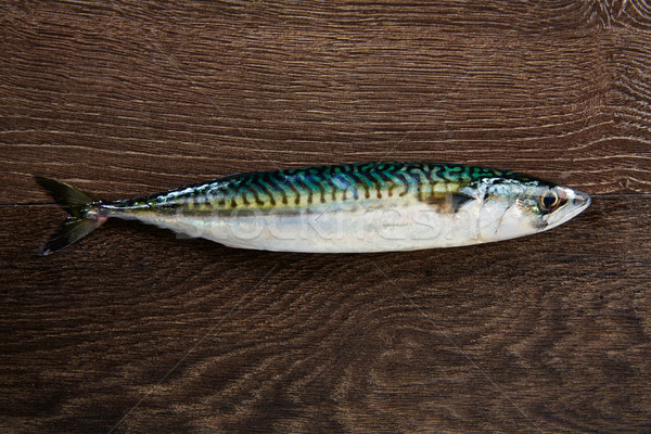 Makrele frischen Fisch Holz Holz braun Stock foto © lunamarina