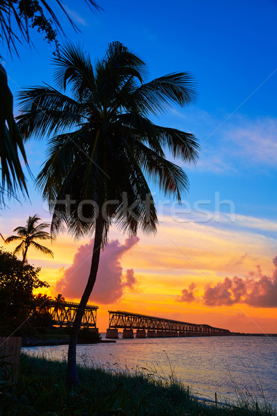 Florida Keys old bridge sunset at Bahia Honda Stock photo © lunamarina