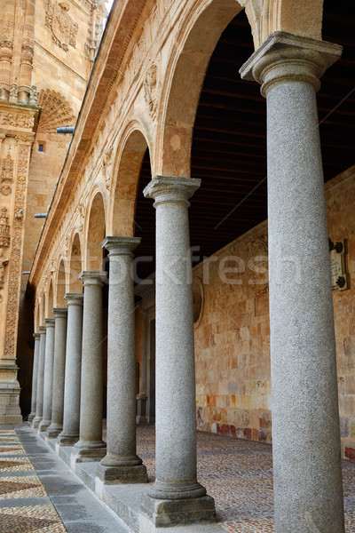 San Esteban Convent in Salamanca of Spain Stock photo © lunamarina