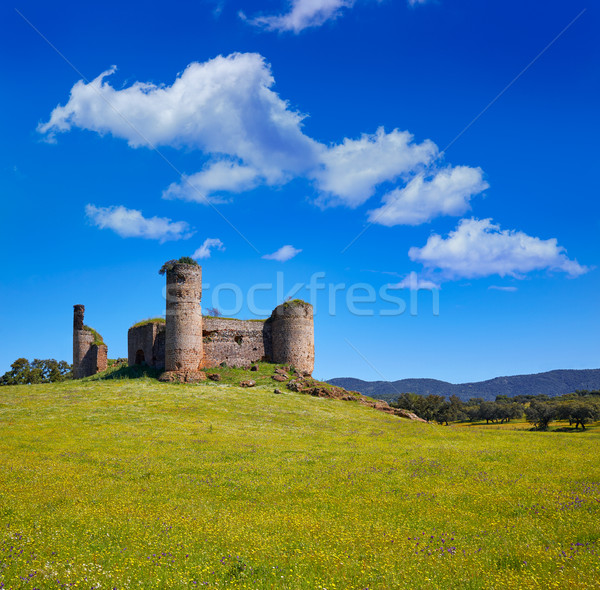 Castillo de las Torres castle by via de la Plata Stock photo © lunamarina