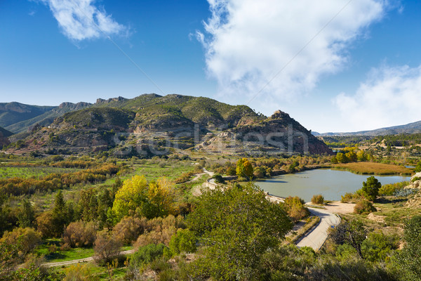 Rezervor Valencia Spania lumina fundal vară Imagine de stoc © lunamarina