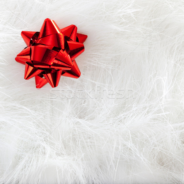 Foto d'archivio: Natale · guardare · bianco · pelliccia · Pasqua