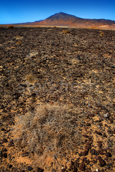 Lanzarote Punta Papagayo and Ajaches mountain Stock photo © lunamarina