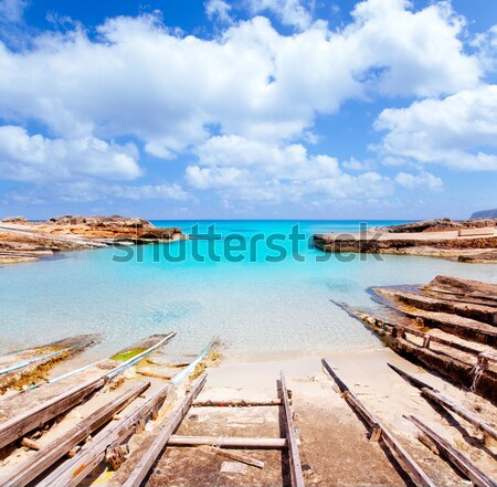 Cala Saona coast with turquoise rough Mediterranean Stock photo © lunamarina